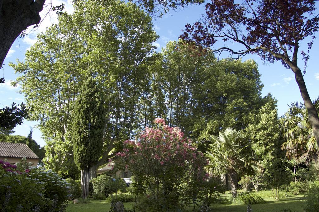 Le Mas Ferrand Graveson Extérieur photo