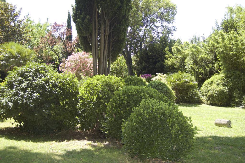 Le Mas Ferrand Graveson Extérieur photo